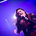 Evanescence2022_11.jpg
